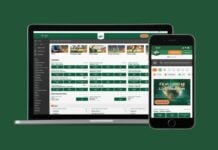 Mr Green Sport Mr Green Sport er en populær spiludbyder på det danske marked